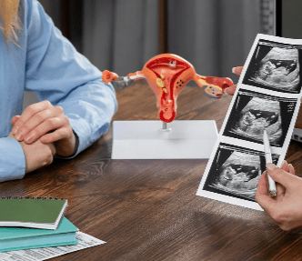 צילום מסך 2025 12 14 155004